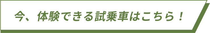 今、体験できる試乗車はこちら！